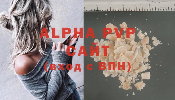 гашик Алексин