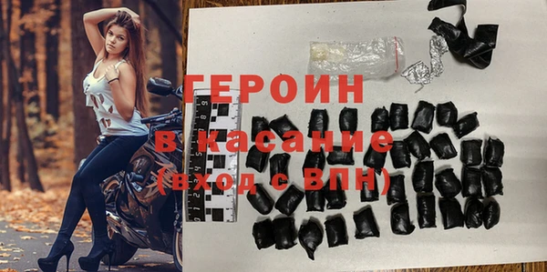 гашик Алексин