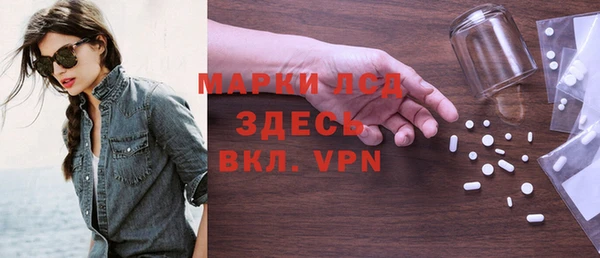 гашик Алексин
