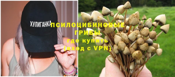 гашик Алексин