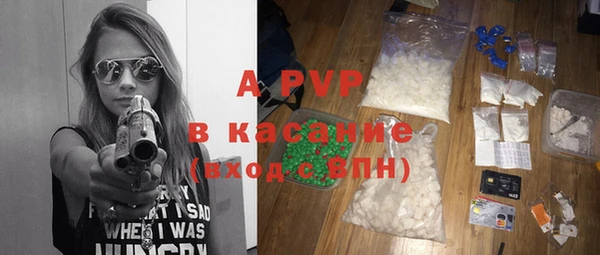 гашик Алексин