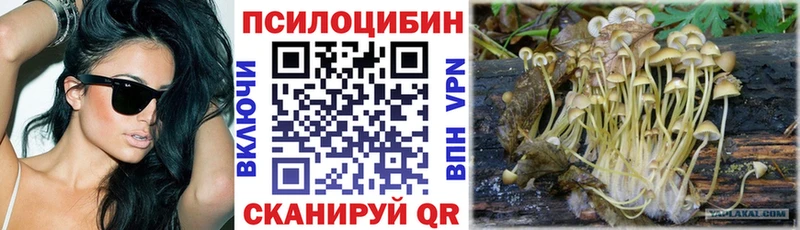 Галлюциногенные грибы MAGIC MUSHROOMS  Анадырь 